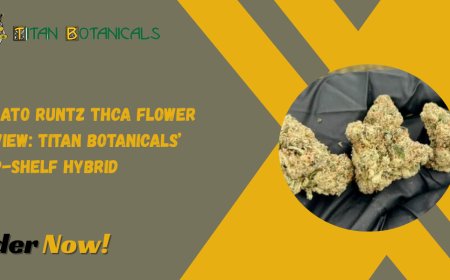 Gelato Runtz THCa Flower Review: Titan Botanicals’ Top-Shelf Hybrid