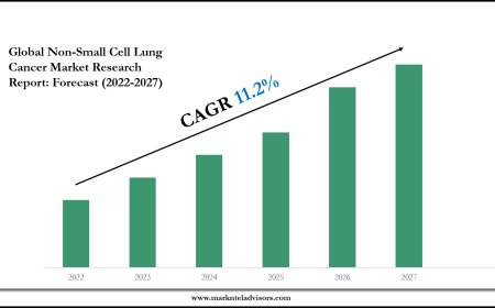 Non-Small Cell Lung Cancer Market Value, Forecast, and Industry Overview 2027