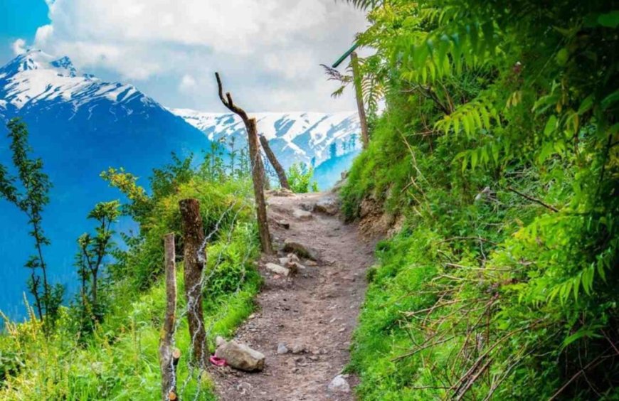 Tosh: Himachal’s Hidden Paradise to Visit in 2025