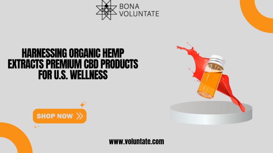 Harnessing Organic Hemp Extracts Premium CBD Products for U.S. Wellness