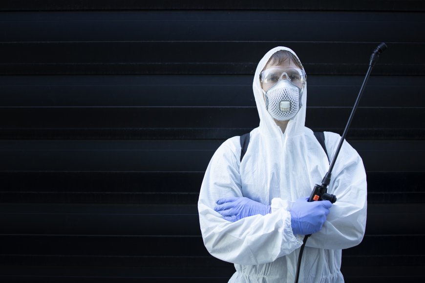 Mastering Pest Control SEO for Better Visibility