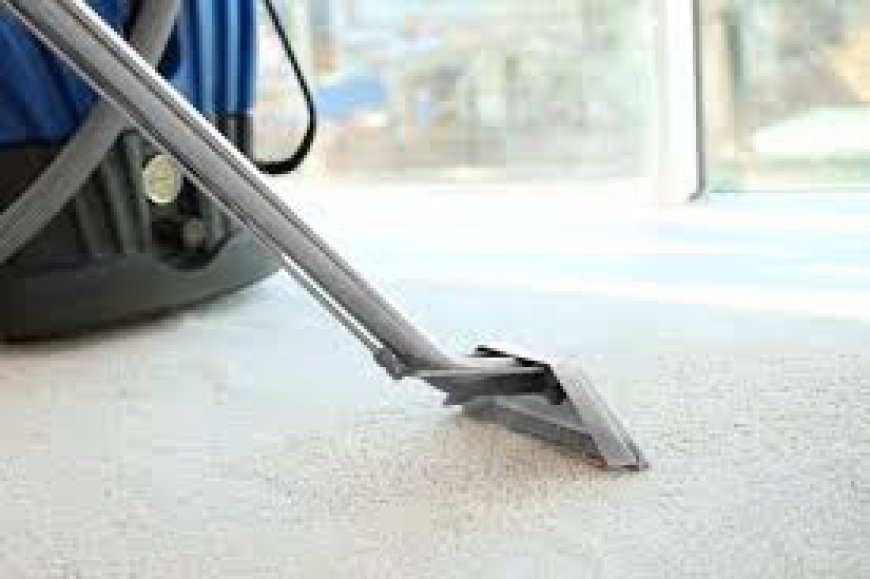 Carpet Deep Cleaning Services in Denver, CO