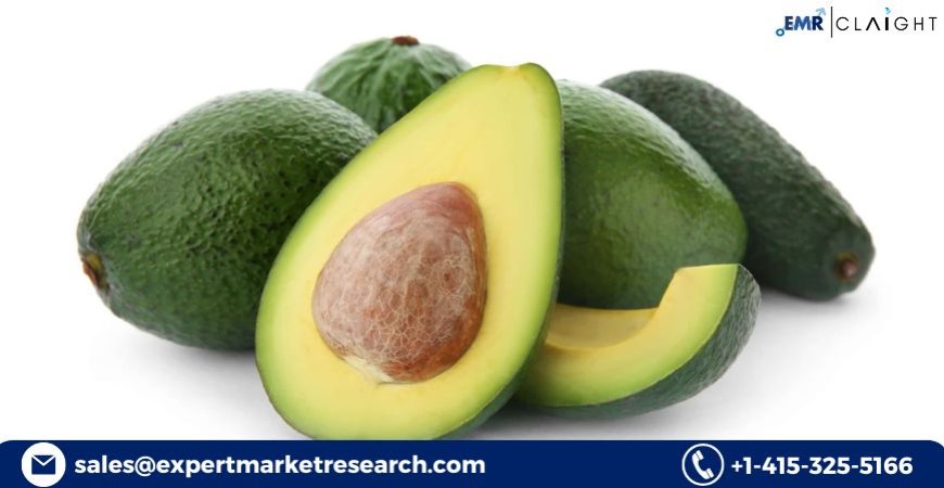 Avocado Processing Market Size, Share & Growth 2025-2034