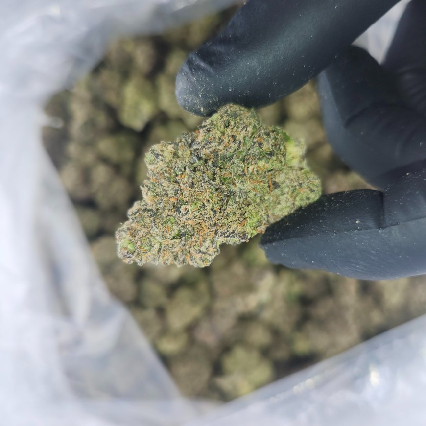 Exploring Trusted Local Sources to Find Quality Cannabis Right Around You