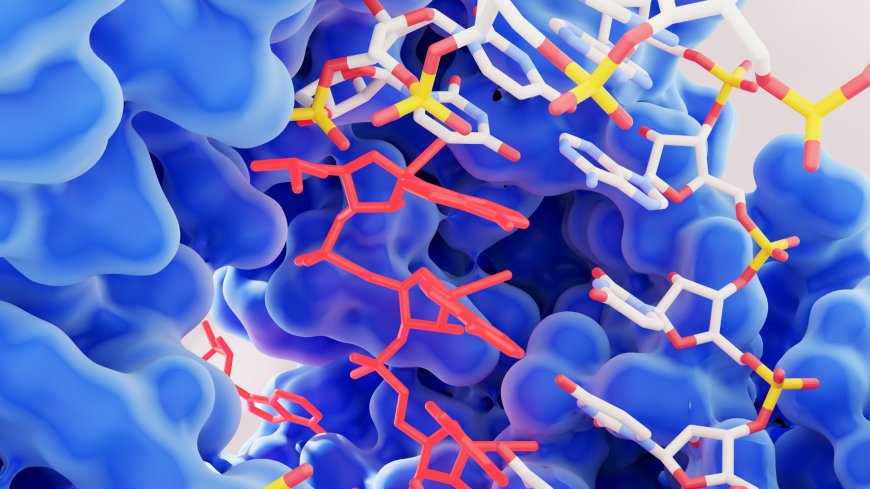 North America Industrial Enzymes Market Size, Forecast 2025-2033: A Comprehensive Industry Analysis