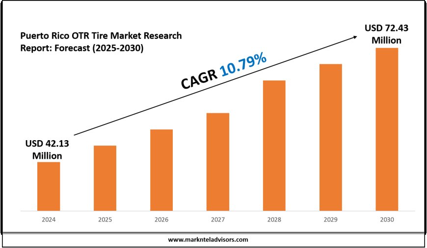 Puerto Rico OTR Tire Industry Forecast: Key Players and Growth Analysis 2030