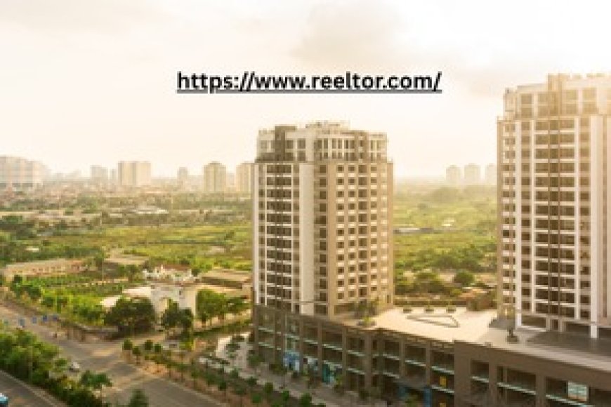 Reeltor.com is redefining property discovery in the modern era