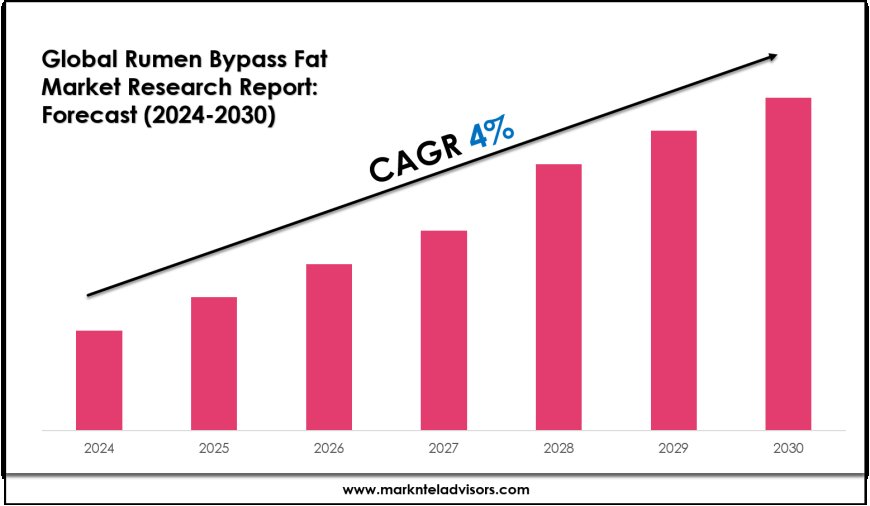 Rumen Bypass Fat Industry Trends, Demand, and Value Outlook 2030