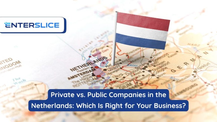 Private vs. Public Companies in the Netherlands: Which Is Right for Your Business?