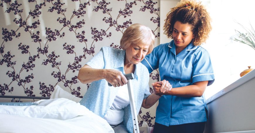 Exploring In-Home Caregiver Jobs in Napa County and Home Caregivers in Sonoma County