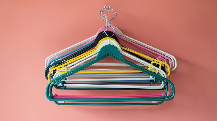 Discover the Best Way to Organize Belts and Ties in Your Closet