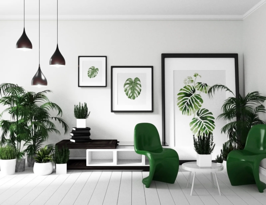 Unlock Stunning Spaces with The Modern Wall Framing