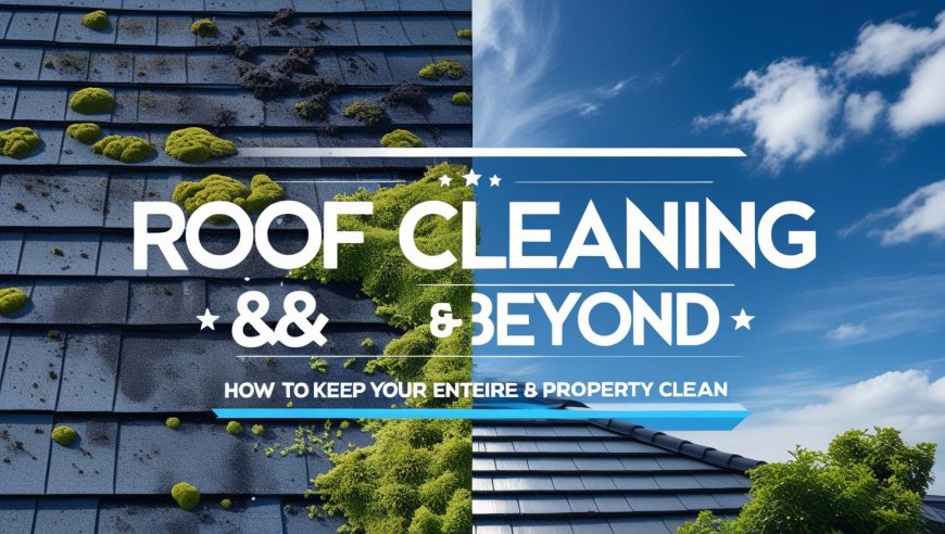 Protect Your Roof: Cleaning Tips for Different Roof Materials