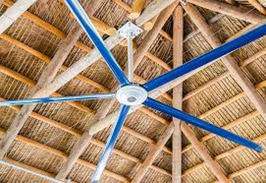 Top 7 HVLS Fans in Canada for 2025: A Complete Buyer’s Guide