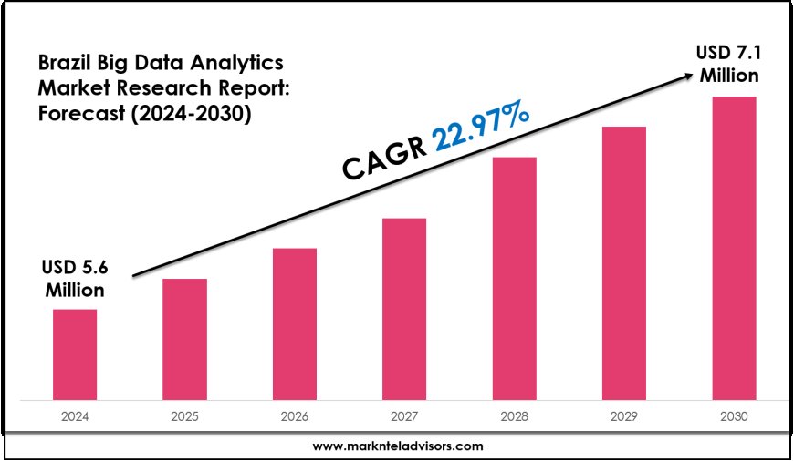 Brazil Big Data Analytics Industry Analysis: Companies, Competitors & Outlook 2030