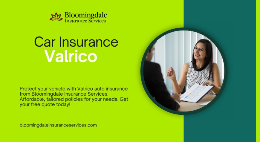 Comprehensive Car Insurance in Valrico FL by Bloomingdale Insurance Services