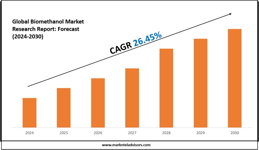 Biomethanol Market Outlook: Size, Share, and Competitive Trends 2030