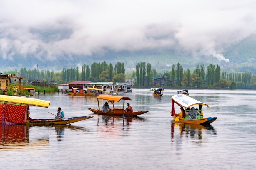 Jammu and Kashmir Tour Packages: Discover Paradise on Earth with Tailored Travel Experiences