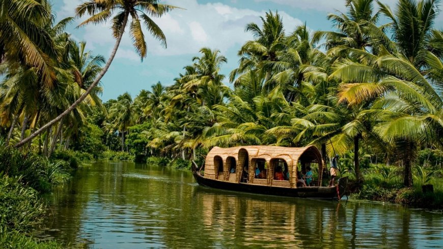A Complete Guide to Kerala Wildlife Tours: Forests, Safaris & Sanctuaries