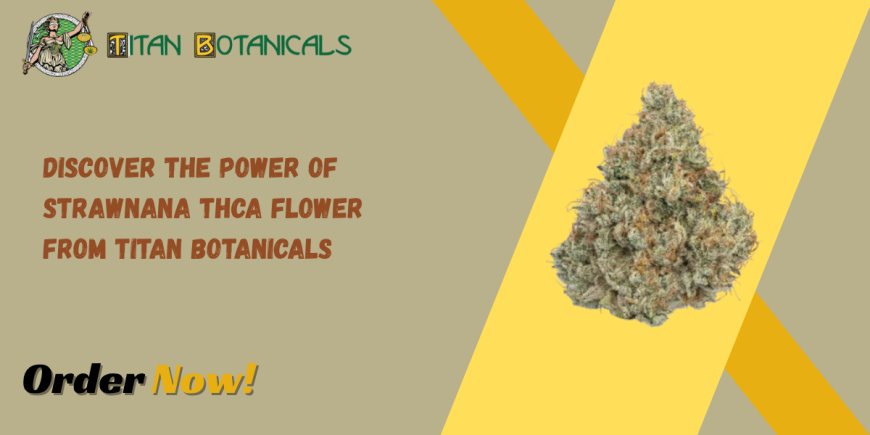 Discover the Power of Strawnana THCa Flower from Titan Botanicals