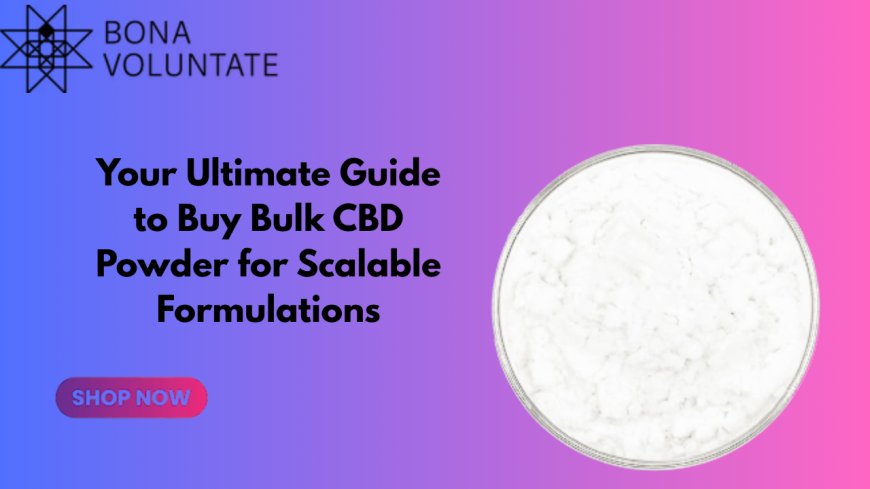 Your Ultimate Guide to Buy Bulk CBD Powder for Scalable Formulations
