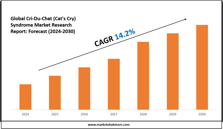 Cri-Du-Chat (Cat’s Cry) Syndrome Industry Share, Size, and Competitive Landscape 2030