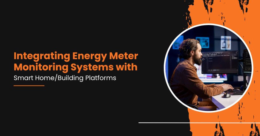 Integrating Energy Meter Monitoring Systems with Smart Home/Building Platforms