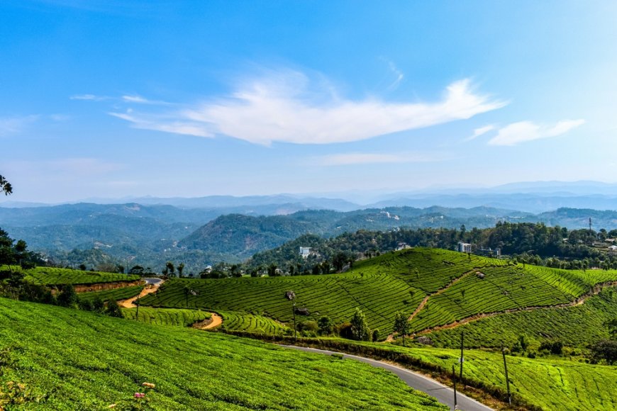 Best Tourist Places in Munnar: Explore the Green Paradise of Kerala