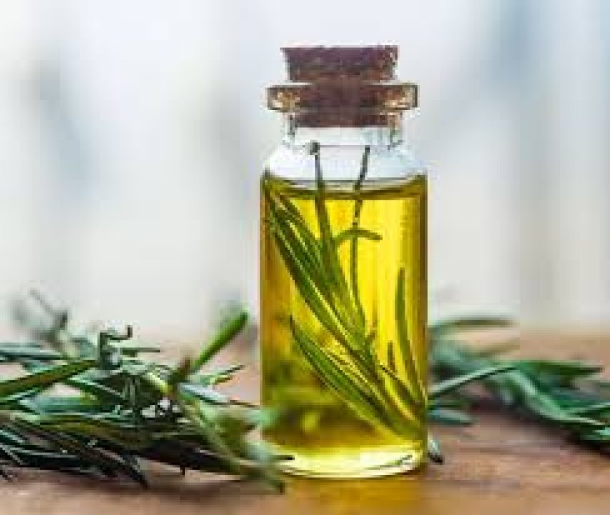 Trusted Rosemary Oil Suppliers for Pure Herbal Extracts