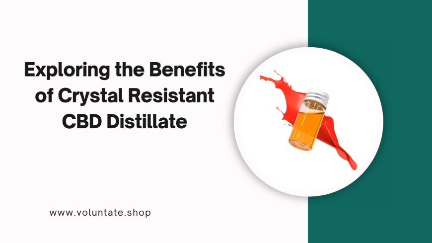 Exploring the Benefits of Crystal Resistant CBD Distillate