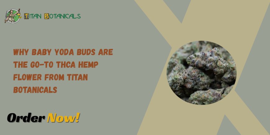 Why Baby Yoda Buds Are the Go-To THCA Hemp Flower from Titan Botanicals