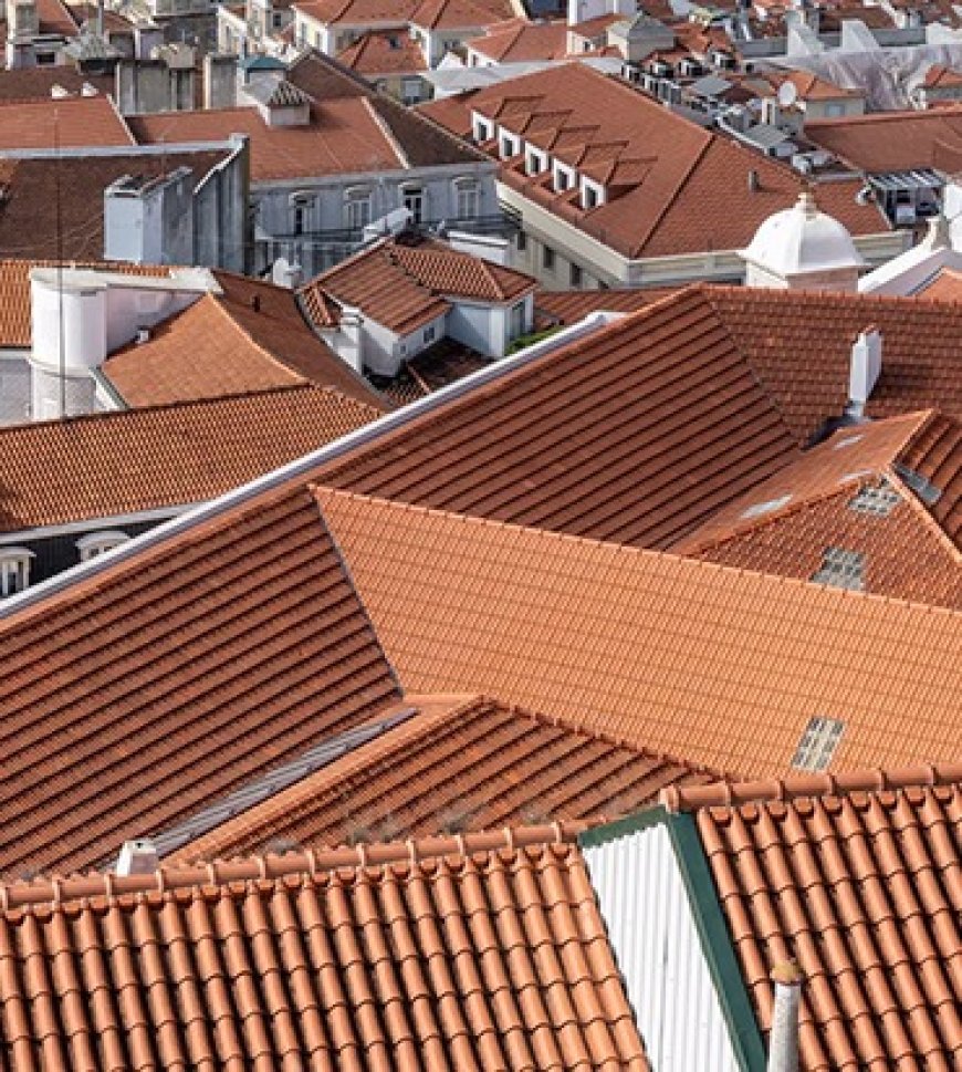 The Role of Professional Painters in Sydney Roof Makeovers