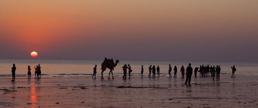 Coastal Charms: Gujarat’s Stunning Beaches
