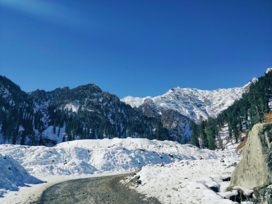 Top 10 Shimla Tour Package Options for a Perfect Himalayan Getaway