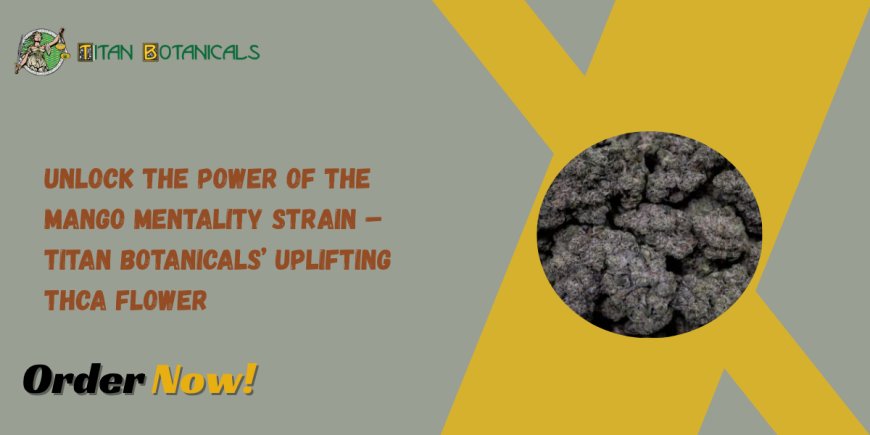 Unlock the Power of the Mango Mentality Strain – Titan Botanicals’ Uplifting THCa Flower