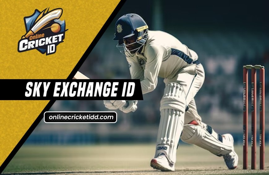 Sky Exch: Get Started Quickly with Sky Exchange ID Account