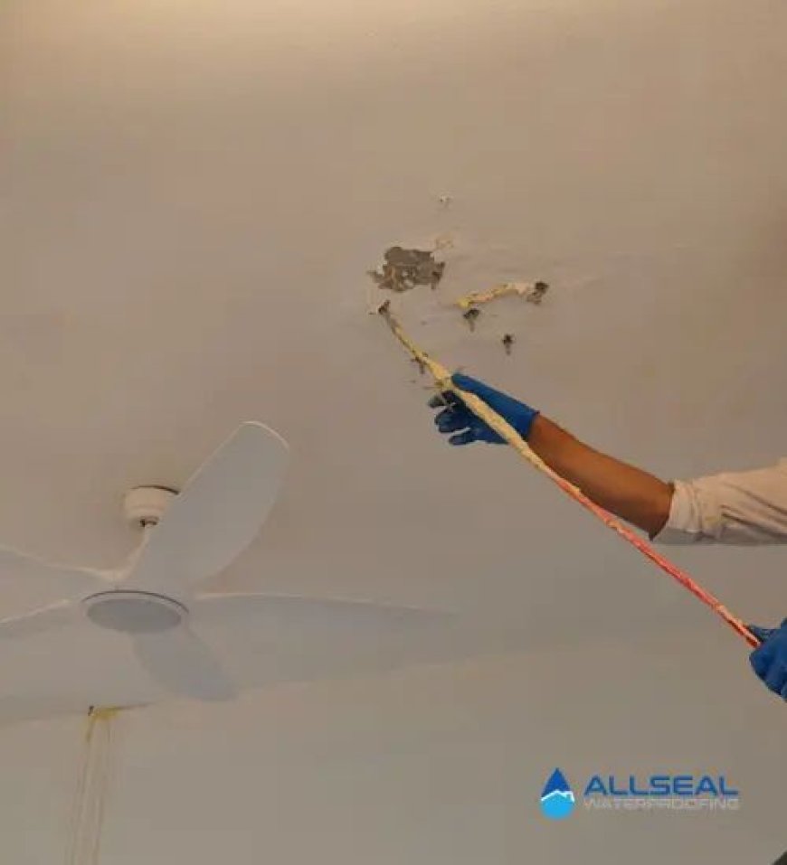 How to Detect Early Signs of Water Ingress in Your Home