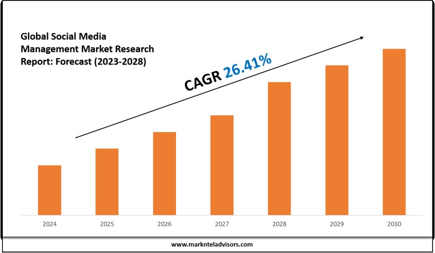 Social Media Management Market Trends and Growth Drivers Analysis 2028