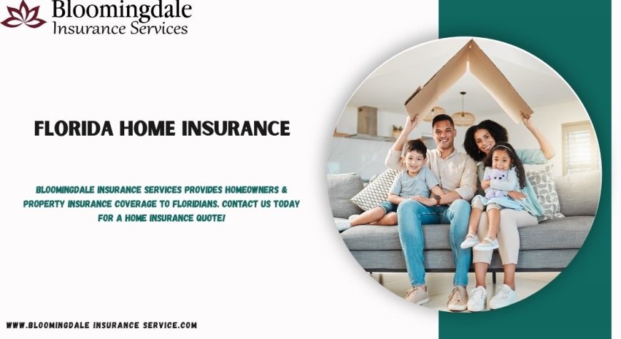 Comprehensive Florida Home Insurance Solutions by Bloomingdale Insurance Services