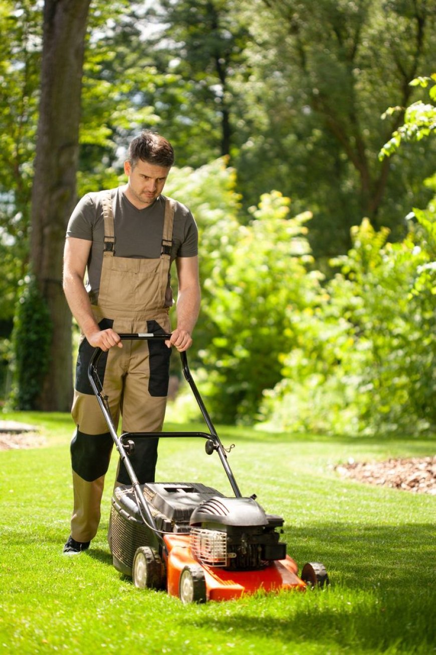 Modern Farming Starts Here: Essential Equipment Every Progressive Farmer Needs