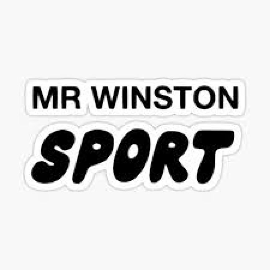 Mr Winston Hoodie: The Ultimate Luxury Streetwear Essential