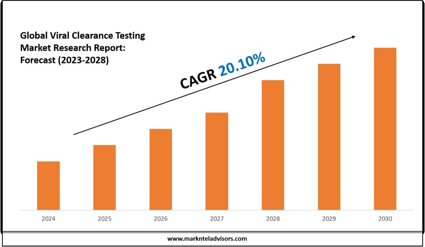 Viral Clearance Testing Market Analysis: Key Players, Competition & Forecast 2028