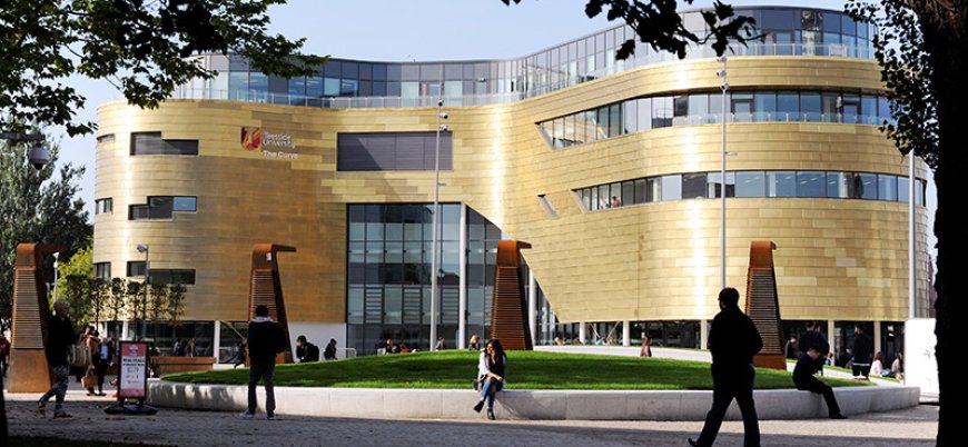 Choosing The Best Website For Assignment Help in the UK