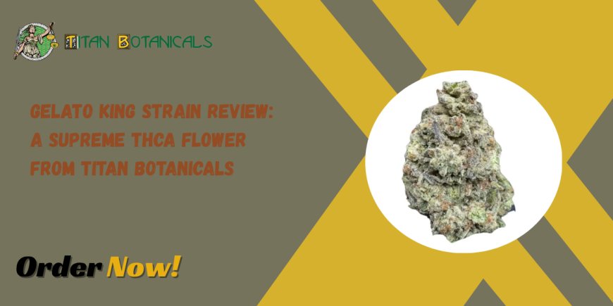 Gelato King Strain Review: A Supreme THCa Flower from Titan Botanicals