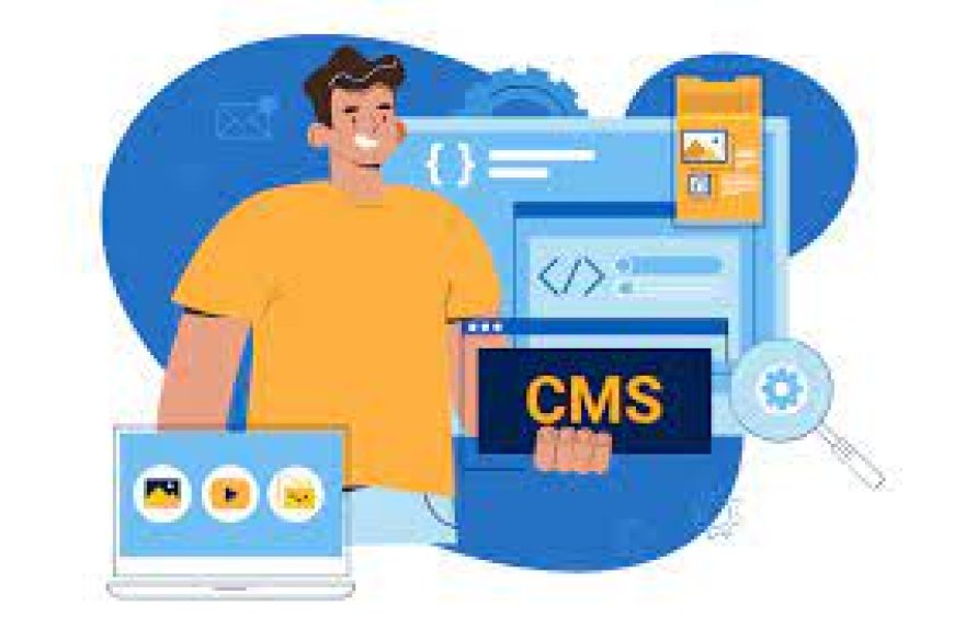 Sheffield’s Trusted SEO Company & CMS Development Experts