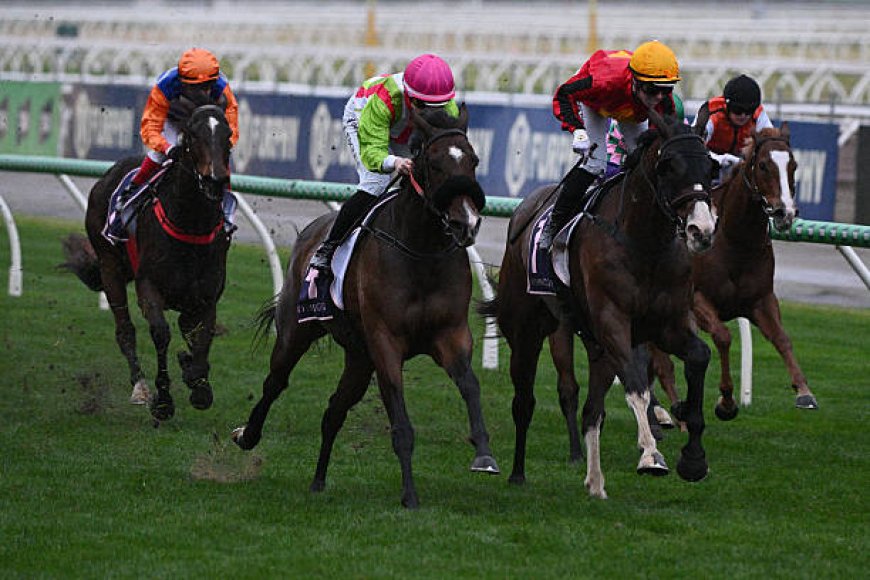 Your Ultimate Guide to the Best Betting Sites Australia Has to Offer