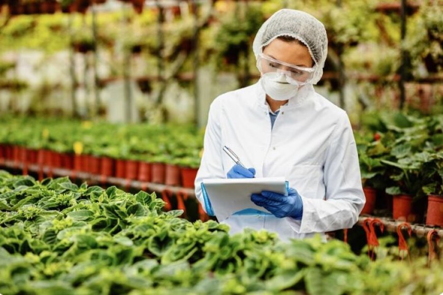 Why Small and Medium-Sized Growers Need Better Inventory Management, Not Bigger Teams