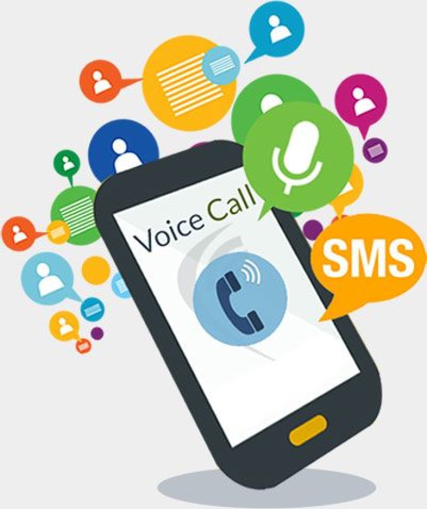 Why Should Language Institutes Use Voice Calls for Updates?