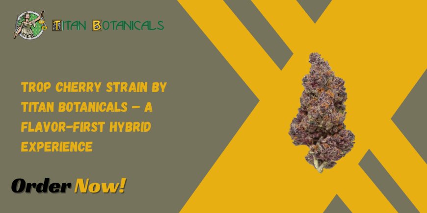 Trop Cherry Strain by Titan Botanicals – A Flavor-First Hybrid Experience