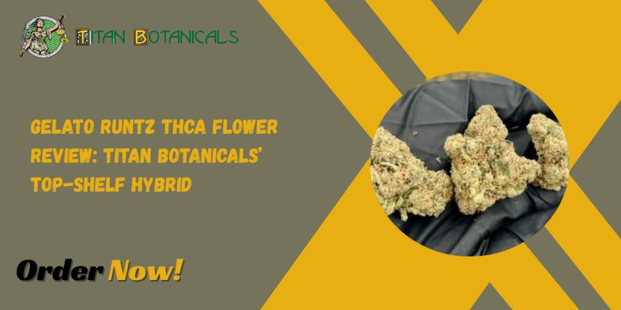 Gelato Runtz THCa Flower Review: Titan Botanicals’ Top-Shelf Hybrid